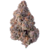 Product Preview Image 2