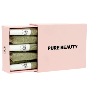 Pure Beauty - Pure Beauty - Pink Box (I) - Joint - 10pk - 3.5g