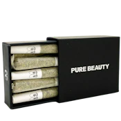 Pure Beauty - Black Box (H) - Joint - 10 Pack - 3.5g