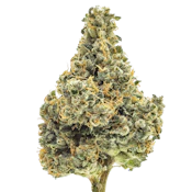 Northern Emeralds - Durban Poison (S) - Indoor - 3.5g