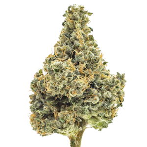 Northern Emeralds - Northern Emeralds - Durban Poison (S) - Indoor - 3.5g