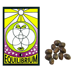 EQUILIBRIUM GENETICS - Equilibrium Genetics - High Tide CBD - 12 Regular Seeds
