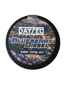 Blueberry Diesel - 3.5g Flower