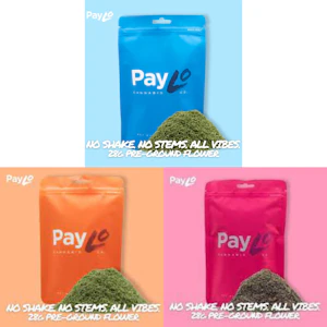 Paylo - PayLo - Afternoon Delight Pre Ground Flower - 28G