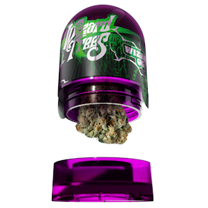 Wizard Trees - Wizard Trees | Wizard OG 3.5g (Indica) - Indoor Flower