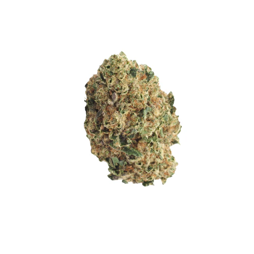 Basic Bud - Basic Bud - 1/2oz Bag - Pluto Main Image