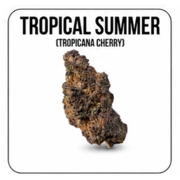 Couth Farms - Couth Farms - Tropical Summer Main Image