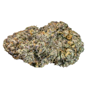RY Animal Scout | 3.5g