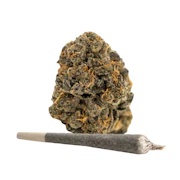Packaged Pre-Roll-IX | Campfire | Gary Payton | 1 g | 1 ct