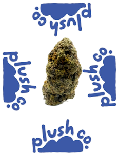 Plush Co. - Icee Runtz (Pre-Packed 1/8th) Adult-use