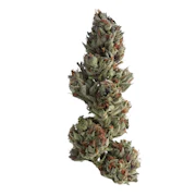 Pre-packaged Flower-IX | Campfire  | Runtz | 4g