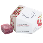 Wyld - Raspberry (S) - Gummy - 100mg