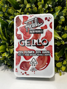 FIDELS - Fidels - Preroll - Infused - Gello - 5 Pack