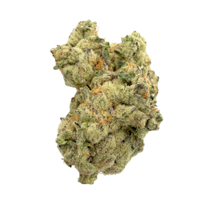 Kaprikorn - Chimera Junky, Indoor