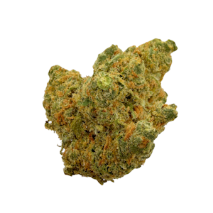 Hecate Gardens - King Jack, Indoor