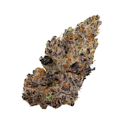 Detroit Muscle, Indoor