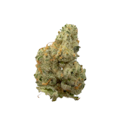 Cap Junky, B-buds, Indoor