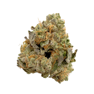 Hecate Gardens - Garlic Louie, Indoor