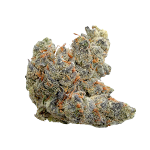 Kaprikorn - Canal St R***z, Indoor