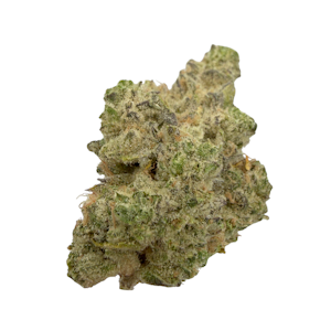 Hecate Gardens - Golden Gunchest, Indoor