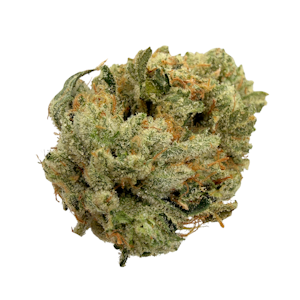 MIDNIGHT FRUIT COMPANY - Motor Breath, Indoor