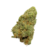 Sun Kissed Orange, Indoor