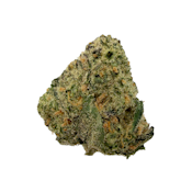 Neon Trees, B-buds, Indoor