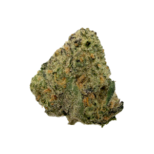 GROWN ROGUE - Neon Trees, B-buds, Indoor