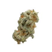 Midnight Ice Cream, B-buds, Indoor