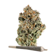 Packaged Pre-Roll-IX | Campfire | Sunset Sherbert | 1 g | 1 ct
