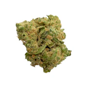 Island Skunk, Indoor