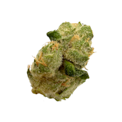 Banana Chillz, B-buds, Indoor