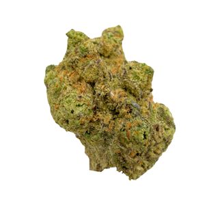 Hecate Gardens - Permanent Z, Indoor