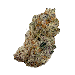 Zilem Collective - Kiwi Goddess, Indoor