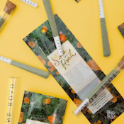 Stone Road- Biscotti 1g Infused Preroll
