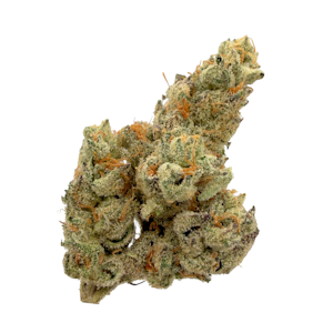 LUVLI - The Rizz, Indoor