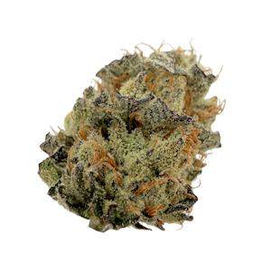 NELSON AND COMPANY ORGANICS - Gelato 33, Indoor