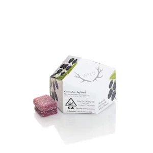 WYLD - Wyld Gummies Marionberry 