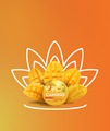 Kiva Camino 20pk Mango Serenity CBD 1:1