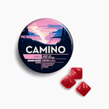 Kiva Camino 20pk Gummies Wild Berry