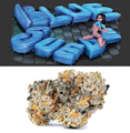 Cookies 3.5g Blue Suede