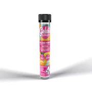 Gelato Lolli Infused Preroll 1.2g Island Punch