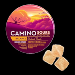 Kiva Camino Sours 10pk Gummies Orchard Peach CBD 1:1