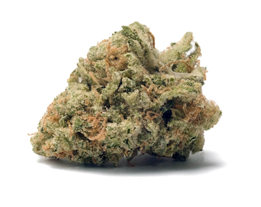 XOTIC FLAVORZ - XOTIC FLAVORZ | AMNESIA HAZE | FLOWER | 3.5G
