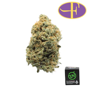 UpNorth - Red Congolese