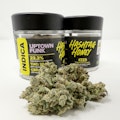 Uptown Funk 3.5g Flower | Hashtag Honey