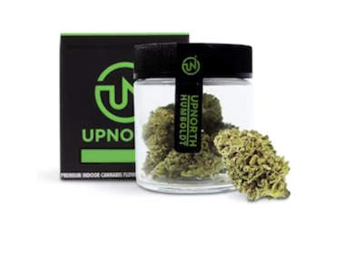 UPNORTH HUMBOLDT - UpNorth | Red Congolese | Indoor Flower | 1/8oz