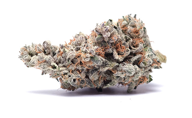 Sense | Northern Lights | 3.5g