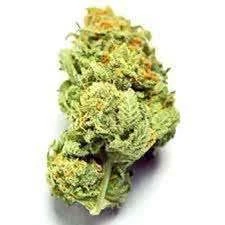 Flo - VANILLA FROST 1/8oz Main Image
