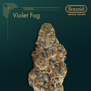 THE BOTANIST - The Botanist | Flower | Violet Fog MT | Buds | 3.5g
